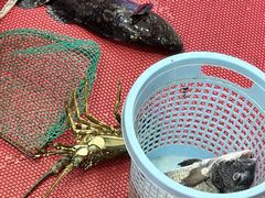 -金海湾海鲜排档(朱家尖店)