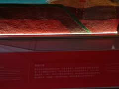 -正佳自然科学博物馆