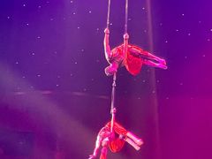 -珠海横琴长隆《卡卡虎奇遇记》