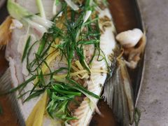 清蒸河鱼-亚荣河鲜