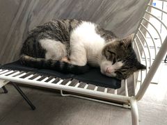 -UNI UNI(环亚凯瑟琳店)