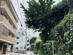 -国际通