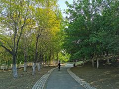 -莫子山公园