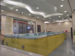 -四季宝贝婴幼儿水育成长中心(陆家嘴店)