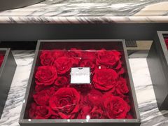 -ROSEONLY诺誓(国际广场购物中心店)