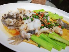 -猪肉婆私房菜(容桂总店)