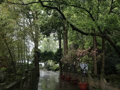 -南山植物园