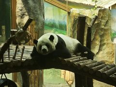-青藏高原野生动物园