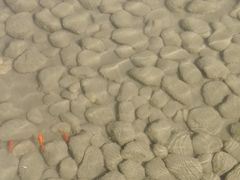 -中国艺术研究院油画院
