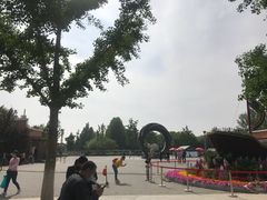 -大兴滨河森林公园