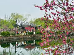 -无锡蠡湖国家湿地公园-蠡园