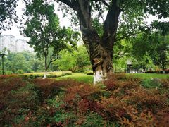 -沙河三洞古桥公园