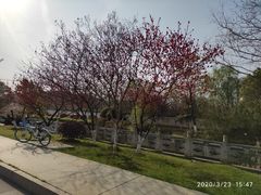 -佬土鹅肠火锅(解放路店)