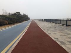 -星光岛