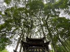 -青城山