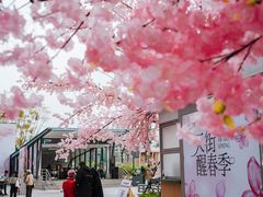 -首开·龙湖成都西宸天街