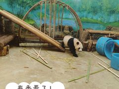 -杭州动物园