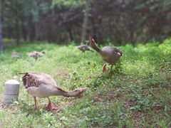 -泰安地下龙宫景区