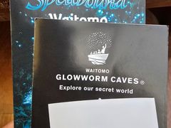 -怀托摩萤火虫洞