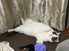 -肯德基(京广桥店)