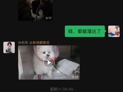 -美联众合动物医院·24h转诊中心