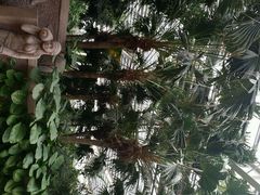 -龙达温泉生态城