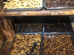 -昆虫窝子·特色云南菜(拓东路总店)