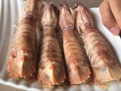 白灼濑尿虾-哈味食店(外伶仃岛店)