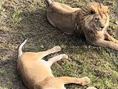 -青藏高原野生动物园