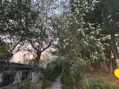 -烟台山景区
