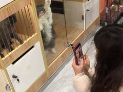 -猫爷宠物生活馆·撸猫馆