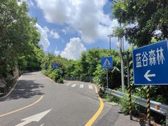 -求水山公园