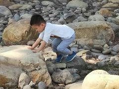 -宝安西湾红树林湿地公园