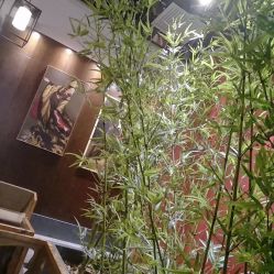 店内环境-盘子女人坊古装写真摄影(长春总店)