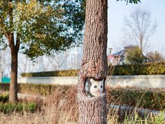 -上海山野camping·户外天幕烧烤·团建拓展营地