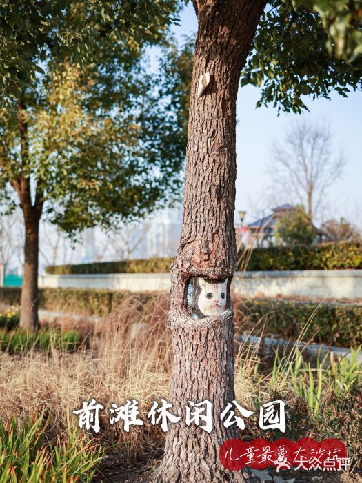 上海山野camping·户外天幕烧烤·团建拓展营地图片