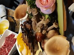 -扬之阿李菌汤火锅(1969店)