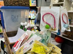 -安琪娜动物医院•健康管理•骨科•急重症诊疗中心