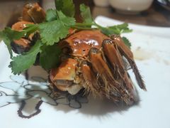 -呼吸森林·生态农庄农家乐私房菜