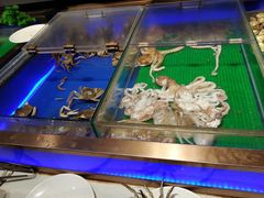 -渔公码头海货全海鲜自助(海滨旅游路店)