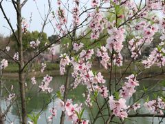 -白塘生态植物园