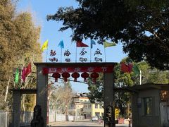 -大益茶庭(勐海会员中心店)