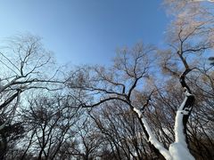 -北陵公园