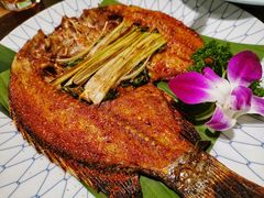 -紫滇源云南生态菜(丹凤街店)