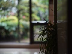 -岳阳阿波罗御庭酒店(岳阳楼区南湖广场店)