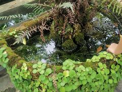 -繁毅农庄