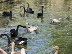 -济南野生动物世界