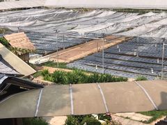 -Ohkajhu Organic Farm Sansai