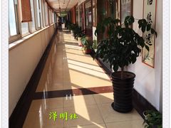 -泽明社