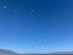 -南诏风情岛